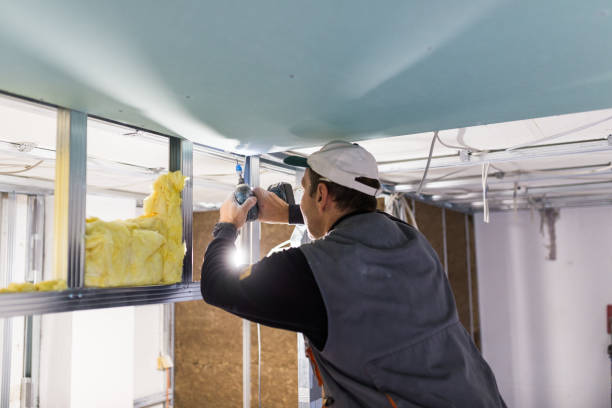 Best Insulation Maintenance and Repair in Gerdine, AL