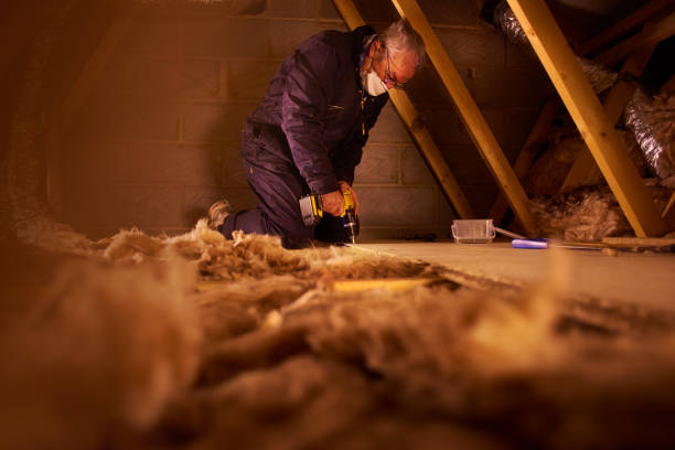Types of Insulation We Offer in Geraldine, AL